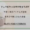 ジェラピケ×スタバのコラボ⁉可愛い限定アイテムが登場!発売日や購入方法を調査
